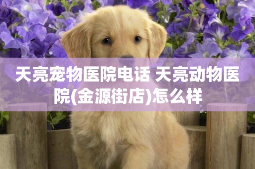 天亮寵物醫院電話 天亮動物醫院(金源街店)怎么樣