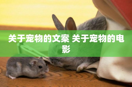 關于寵物的文案 關于寵物的電影