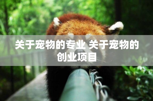 關于寵物的專業 關于寵物的創業項目