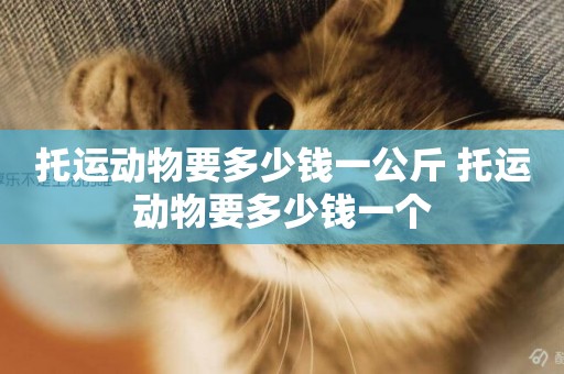 托運動物要多少錢一公斤 托運動物要多少錢一個