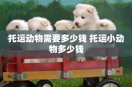 托運動物需要多少錢 托運小動物多少錢