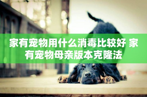 家有寵物用什么消毒比較好 家有寵物母親版本克隆法