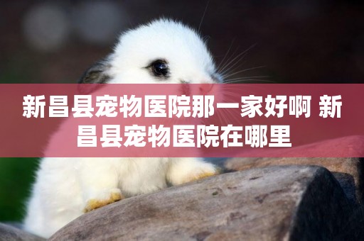 新昌縣寵物醫院那一家好啊 新昌縣寵物醫院在哪里