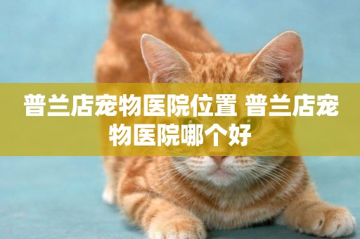 普蘭店寵物醫院位置 普蘭店寵物醫院哪個好