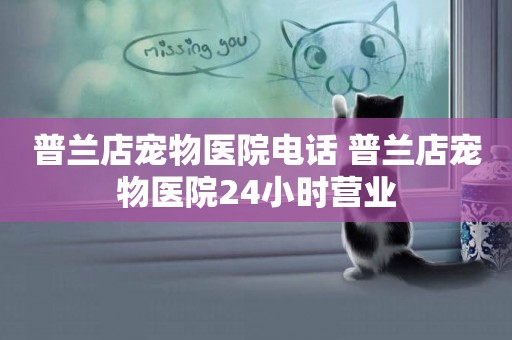 普蘭店寵物醫院電話 普蘭店寵物醫院24小時營業