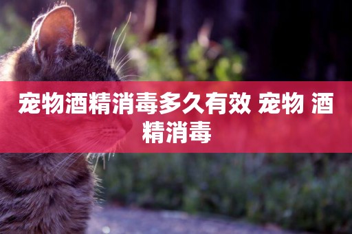 寵物酒精消毒多久有效 寵物 酒精消毒