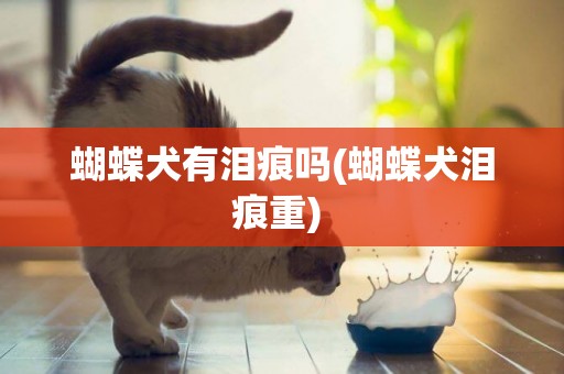蝴蝶犬有淚痕嗎(蝴蝶犬淚痕重) 