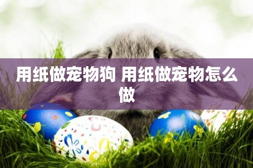 用紙做寵物狗 用紙做寵物怎么做