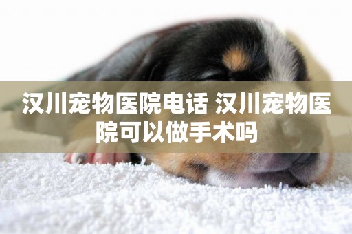 漢川寵物醫院電話 漢川寵物醫院可以做手術嗎