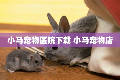 小馬寵物醫院下載 小馬寵物店