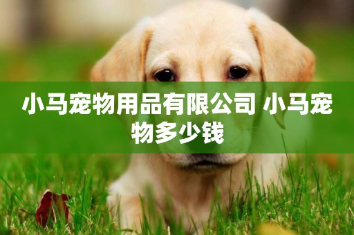 小馬寵物用品有限公司 小馬寵物多少錢