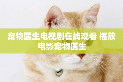 寵物醫生電視劇在線觀看 播放電影寵物醫生