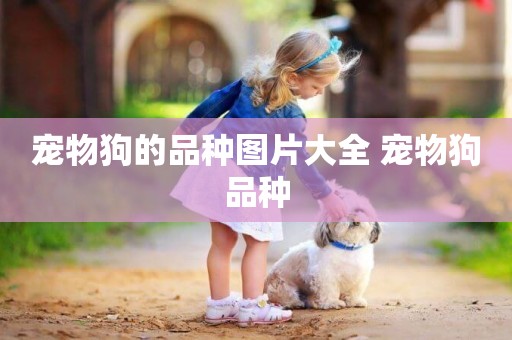 寵物狗的品種圖片大全 寵物狗品種