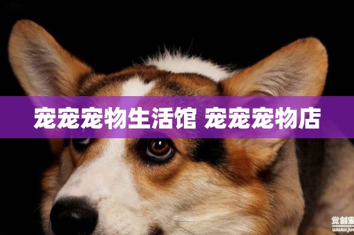 寵寵寵物生活館 寵寵寵物店