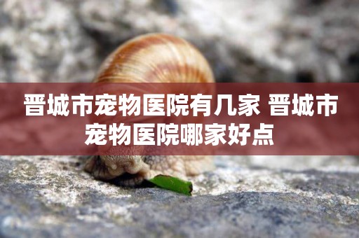 晉城市寵物醫院有幾家 晉城市寵物醫院哪家好點