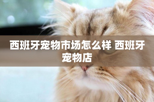 西班牙寵物市場怎么樣 西班牙寵物店