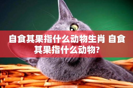 自食其果指什么動物生肖 自食其果指什么動物?