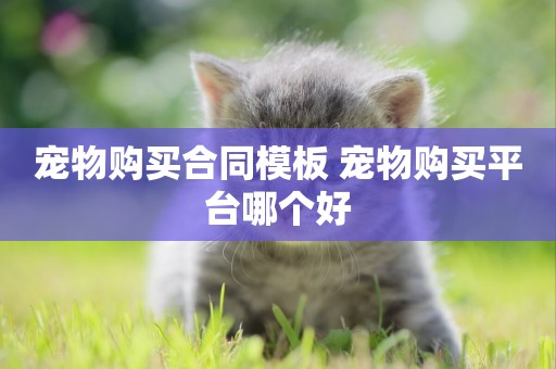 寵物購買合同模板 寵物購買平臺哪個好