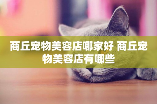 商丘寵物美容店哪家好 商丘寵物美容店有哪些