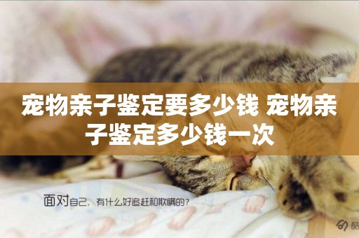 寵物親子鑒定要多少錢 寵物親子鑒定多少錢一次
