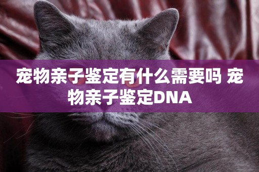 寵物親子鑒定有什么需要嗎 寵物親子鑒定DNA
