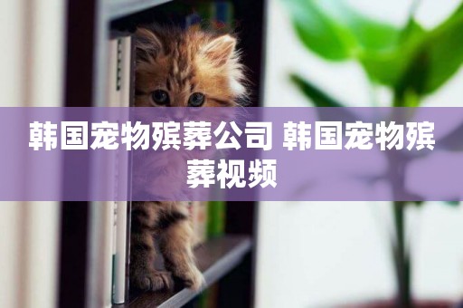 韓國寵物殯葬公司 韓國寵物殯葬視頻