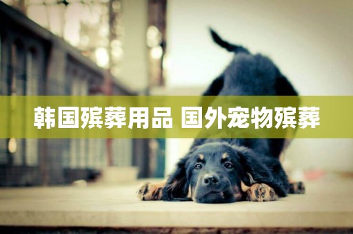 韓國殯葬用品 國外寵物殯葬