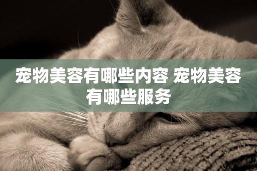 寵物美容有哪些內容 寵物美容有哪些服務