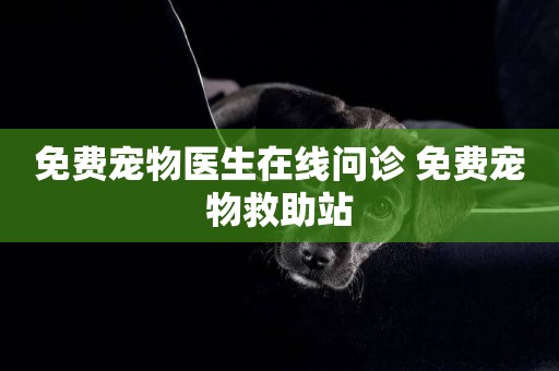 免費寵物醫生在線問診 免費寵物救助站