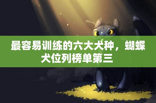 最容易訓練的六大犬種，蝴蝶犬位列榜單第三 