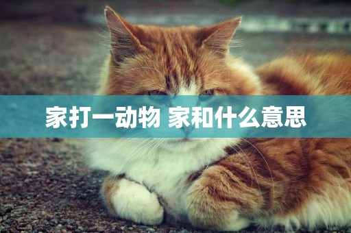 家打一動物 家和什么意思
