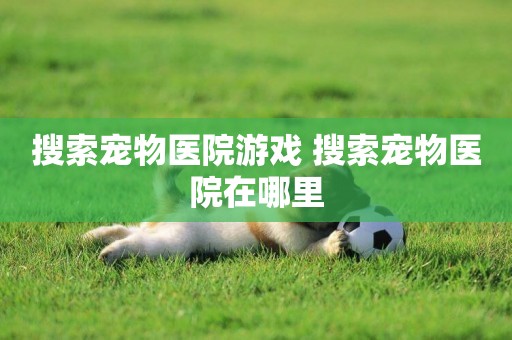 搜索寵物醫院游戲 搜索寵物醫院在哪里