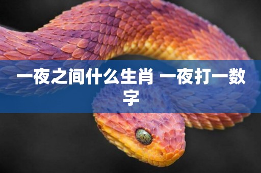 一夜之間什么生肖 一夜打一數字