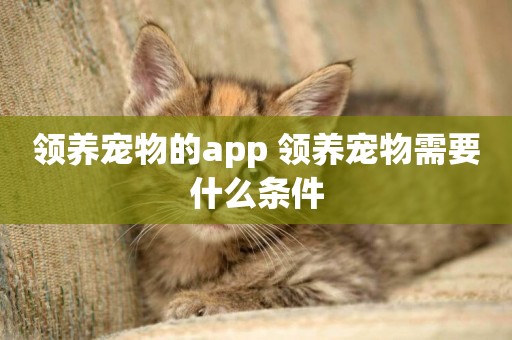 領養寵物的app 領養寵物需要什么條件