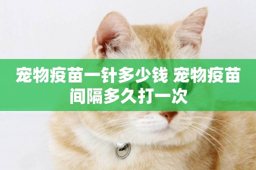 寵物疫苗一針多少錢 寵物疫苗間隔多久打一次