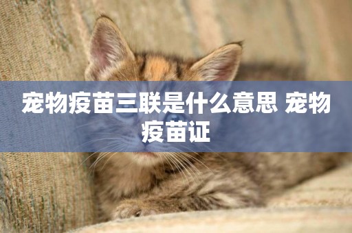 寵物疫苗三聯是什么意思 寵物疫苗證