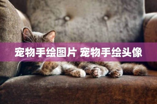 寵物手繪圖片 寵物手繪頭像