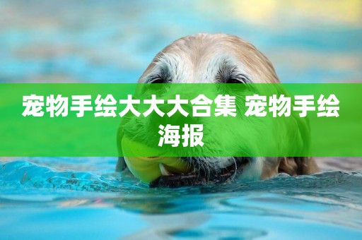 寵物手繪大大大合集 寵物手繪海報