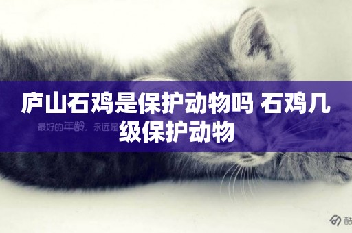 廬山石雞是保護動物嗎 石雞幾級保護動物
