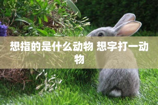 想指的是什么動物 想字打一動物