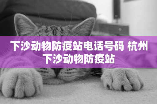 下沙動物防疫站電話號碼 杭州下沙動物防疫站