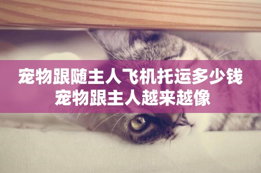 寵物跟隨主人飛機托運多少錢 寵物跟主人越來越像