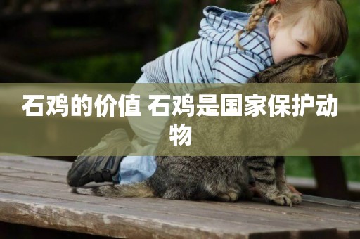 石雞的價值 石雞是國家保護動物