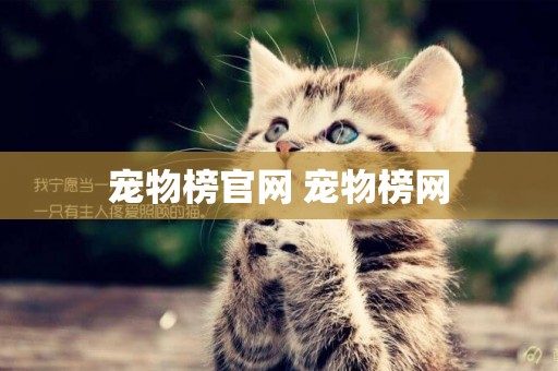 寵物榜官網 寵物榜網