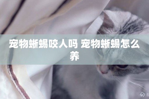 寵物蜥蜴咬人嗎 寵物蜥蜴怎么養