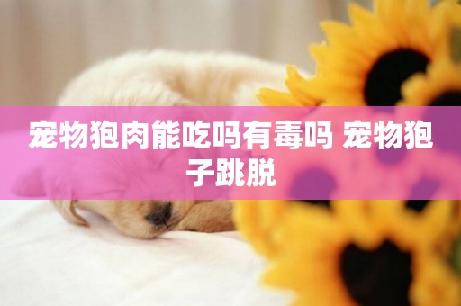 寵物狍肉能吃嗎有毒嗎 寵物狍子跳脫