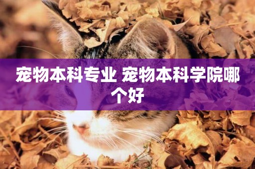 寵物本科專業 寵物本科學院哪個好