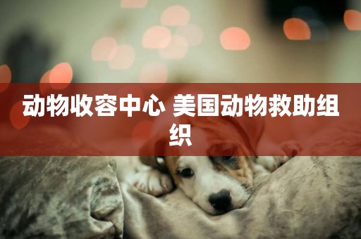 動物收容中心 美國動物救助組織