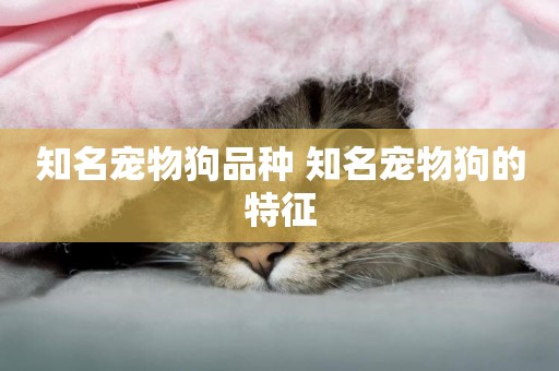 知名寵物狗品種 知名寵物狗的特征
