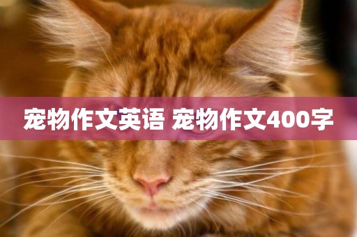 寵物作文英語 寵物作文400字